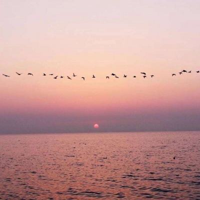 音速漂移游戏下载